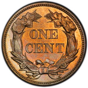 bellevue rare coins