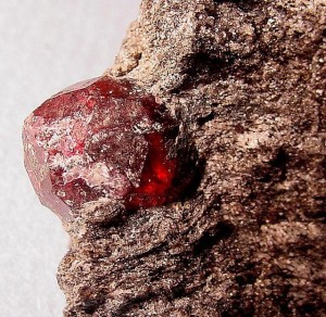 garnet2