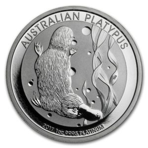 Platypus from Australia