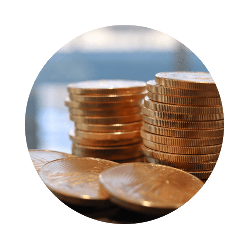 Coin grading bellevue rare coins