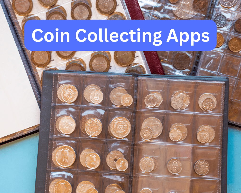 Coin collection displayed in plastic sheets