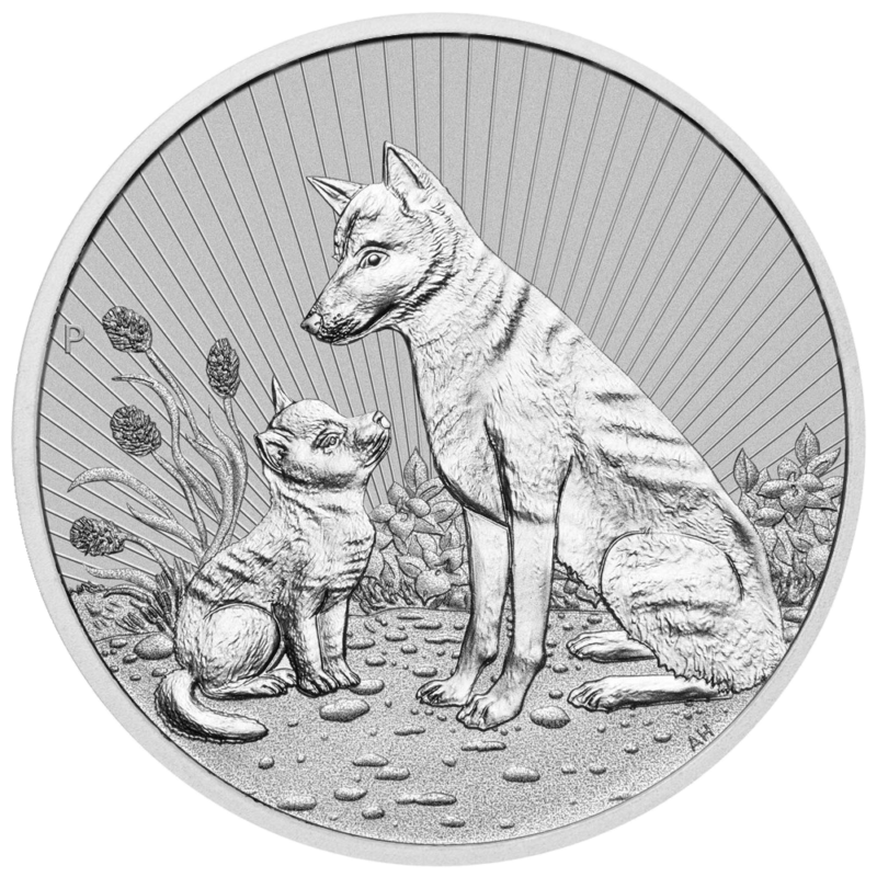 other and Baby Dingo 2022 2oz Silver