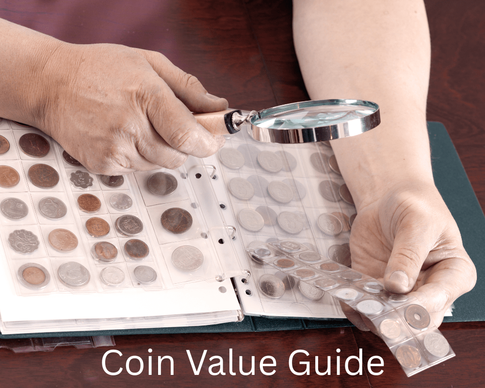 Person examining a coin collection