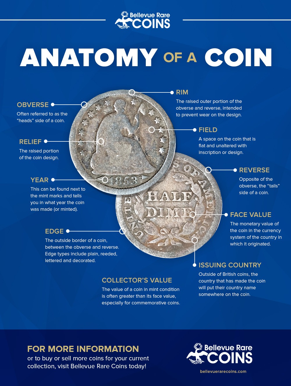 Coin the term. Монеты инфографика. Изображение монет в инфографике. Сортировка монет инфографика. Ногата монета инфографика.